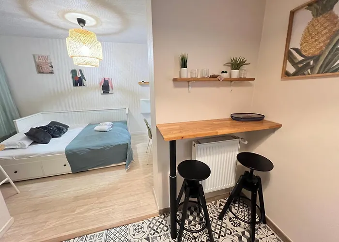 Le Standing Un Sejour A Part Apartment *